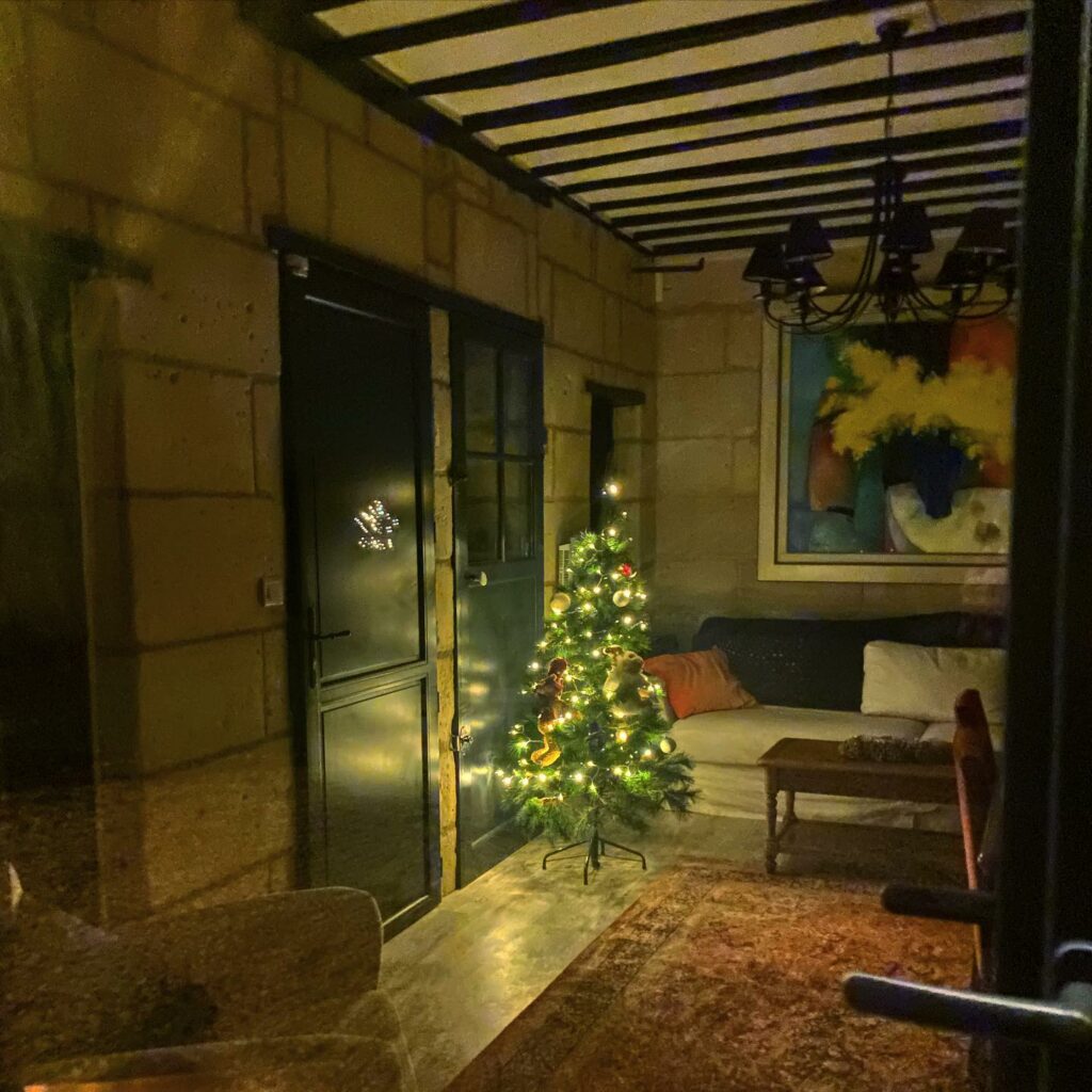 Le parc sous le sapin